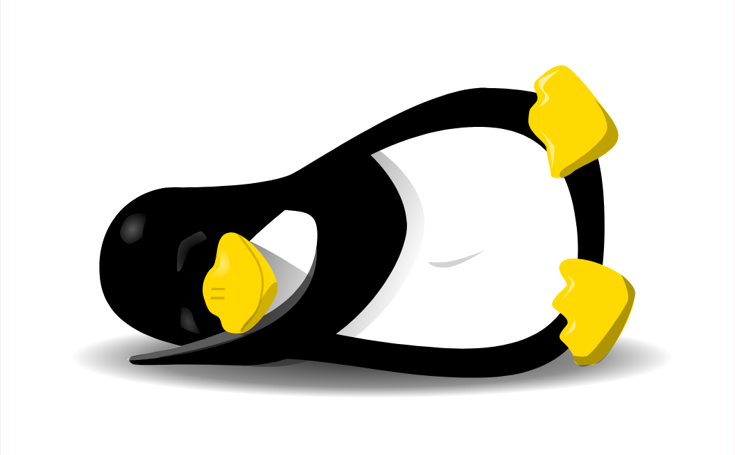 Linux 挂载img